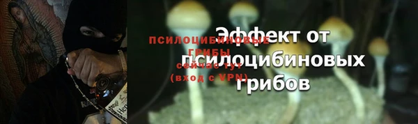 сатива Абаза