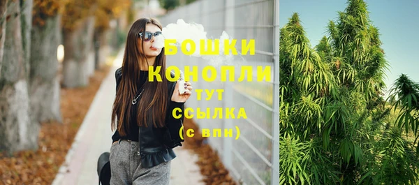 сатива Абаза