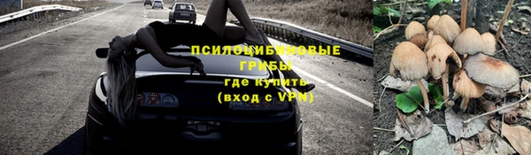 сатива Абаза